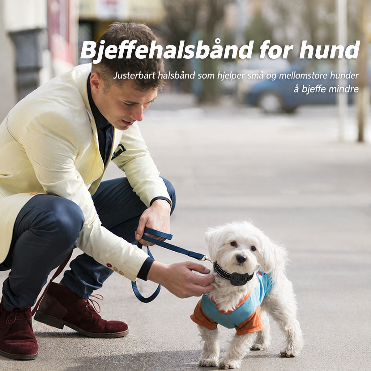Bjeffehalsbånd med lyd og vibrasjon på hund – bilde 5