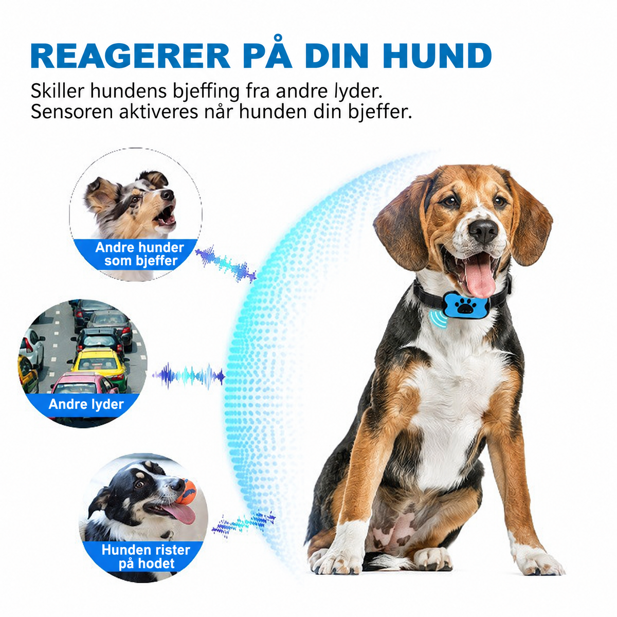 Bjeffehalsbånd med lyd og vibrasjon på hund – bilde 7