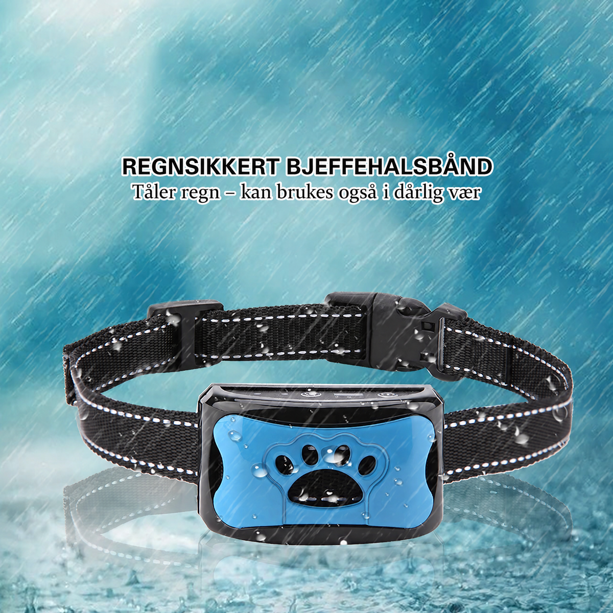 Bjeffehalsbånd med lyd og vibrasjon på hund – bilde 4