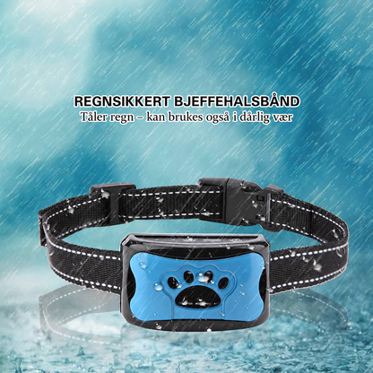 Bjeffehalsbånd med lyd og vibrasjon på hund – bilde 4