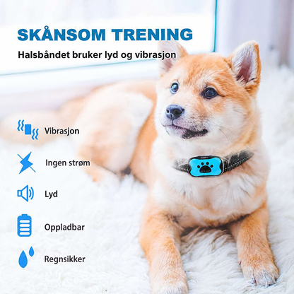 Bjeffehalsbånd med lyd og vibrasjon på hund – bilde 2